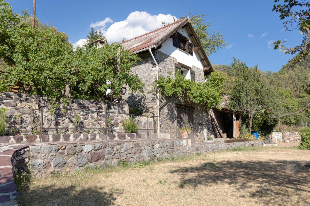 La Petite Chataigne Valdeblore Esterno foto