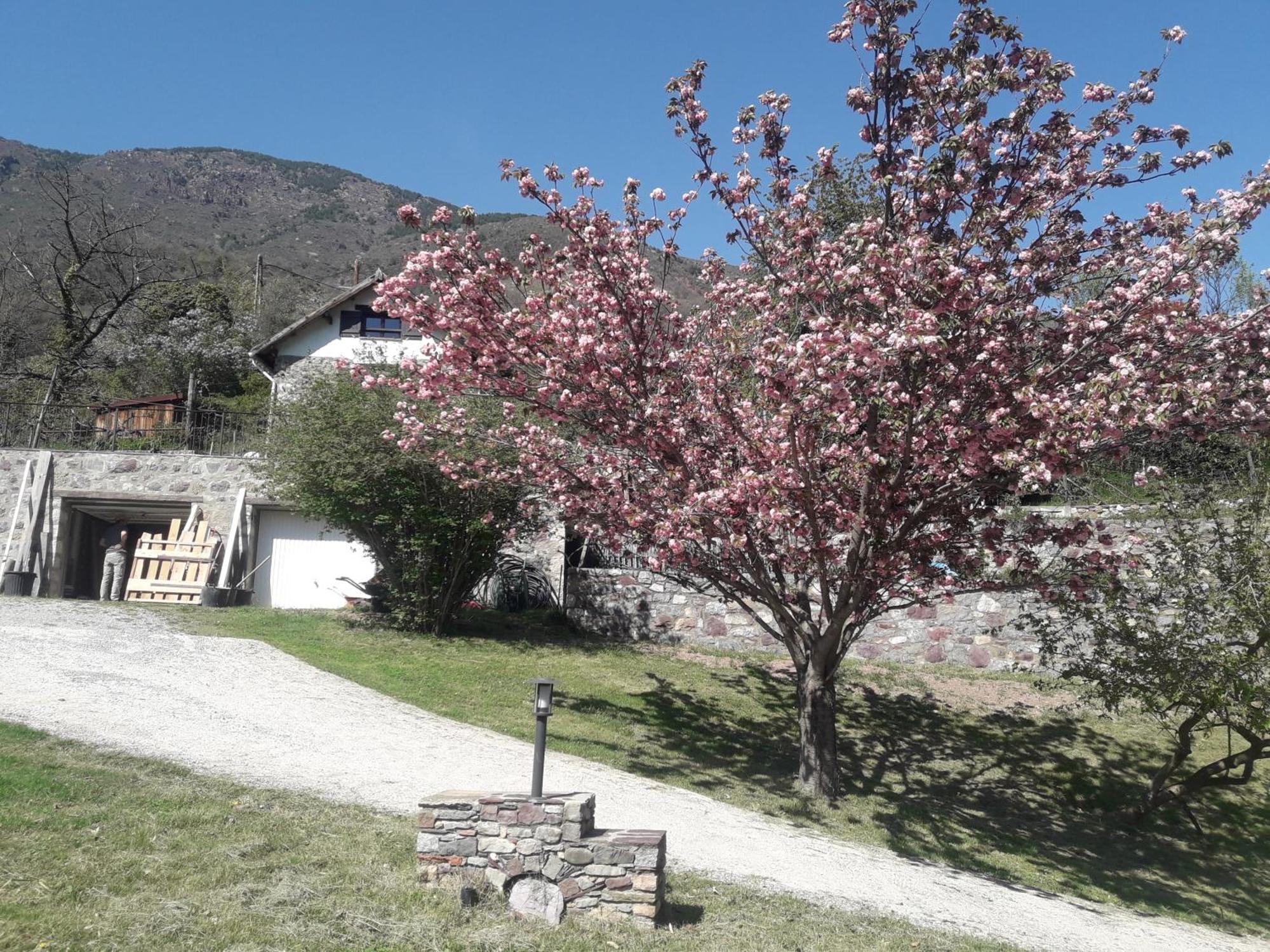 La Petite Chataigne Valdeblore Esterno foto